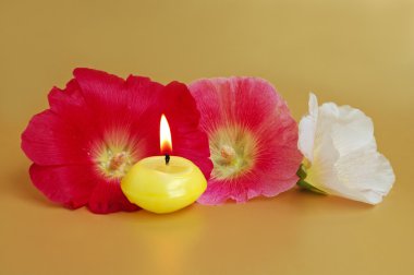 Candle with flowers clipart