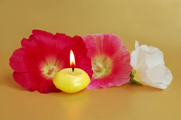 Candle with flowers — Stock Photo, Image