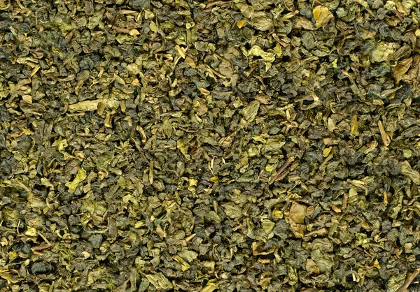 Liści herbaty — Zdjęcie stockowe
