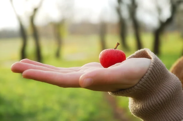 Hand met een appel — Stockfoto