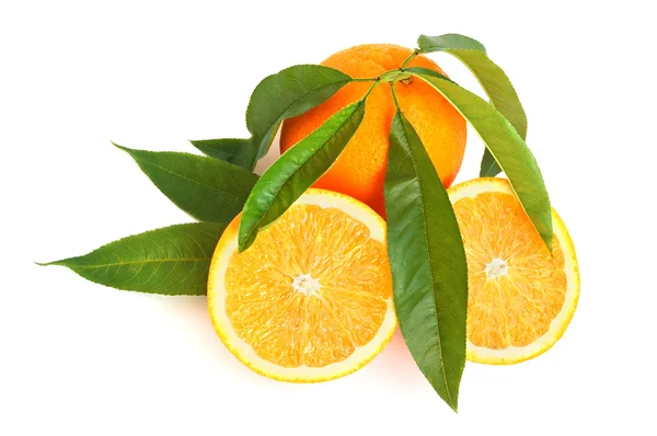 Citrinos de laranja — Fotografia de Stock