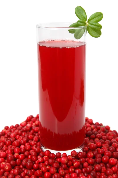 Bevanda di mirtilli rossi — Foto Stock