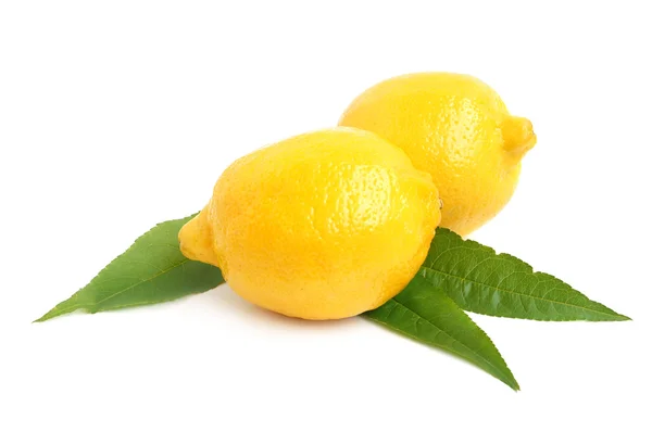Citroen citrus — Stockfoto