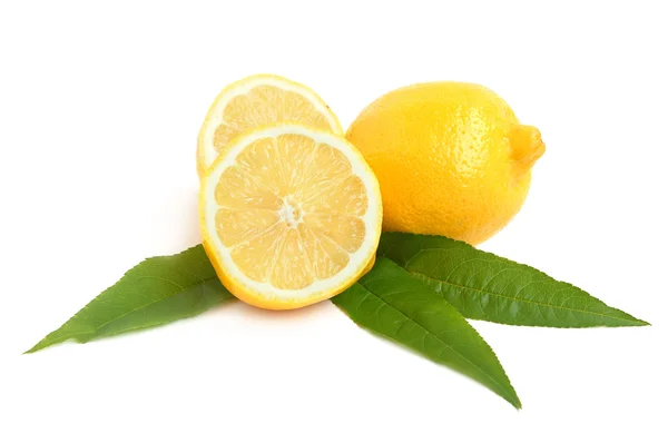 柠檬柑橘 — 图库照片