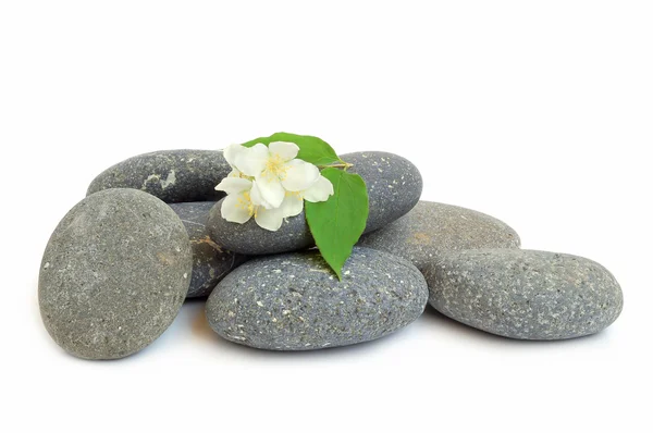 Wellness stones en jasmijn — Stockfoto