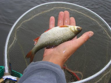 Man holding a small roach clipart