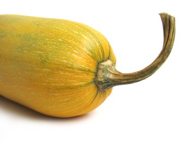 Squash