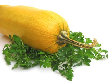 Squash