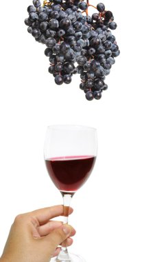 Red wine and grapes clipart
