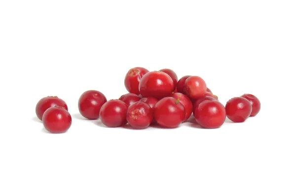 Espalhamento de cranberries — Fotografia de Stock