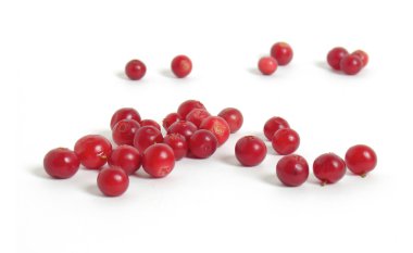 cranberries saçılma