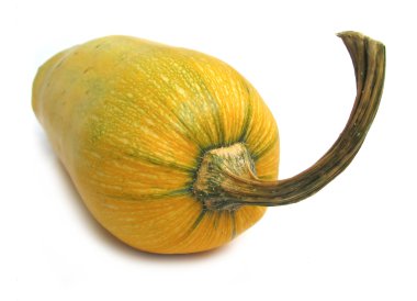 Squash