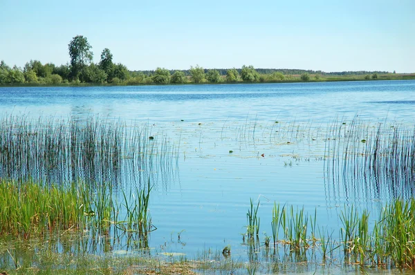 Güzel Göl Manzaralı — Stok fotoğraf