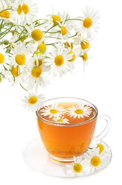 Bylinné Heřmánkový čaj — Stock fotografie