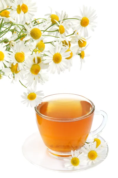 Ромашковый чай — стоковое фото
