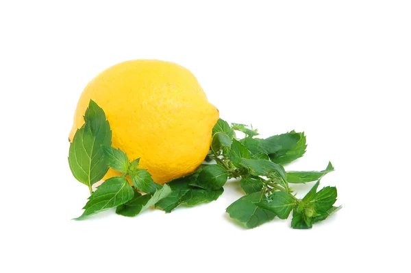 Citron et menthe — Photo