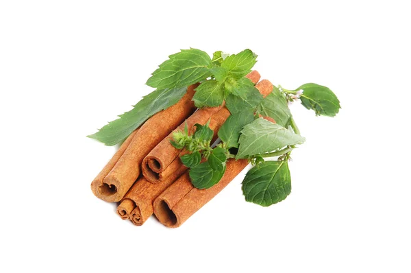 Cinnamon and mint — Stock Photo, Image