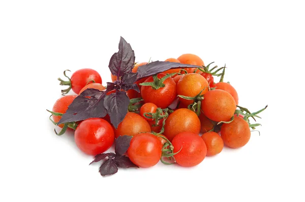 Basil and tomatoes — Stock Photo, Image