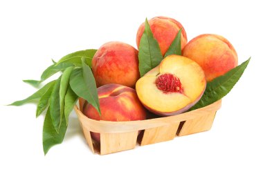 Peaches clipart