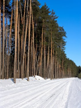 kış yolu