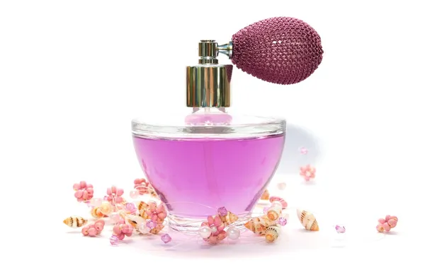 Perfume y collar Imagen de stock