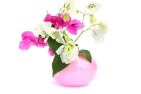 Fleurs dans un vase — Photo