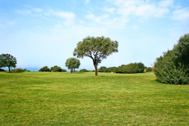 Tree in field clipart