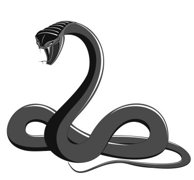 Snake - black and white vector