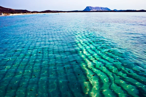 Spiaggia Cinta Sardegna — стокове фото