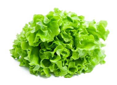 Lettuce clipart