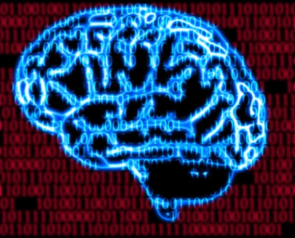 Umani cervello e codice binario — Foto Stock