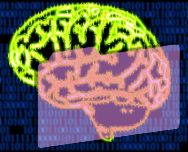 Cérebro humano e código binário — Fotografia de Stock