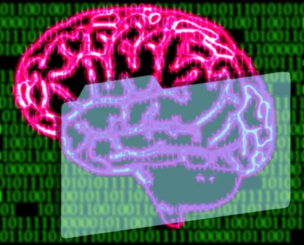 Cerveau humain et code binaire — Photo