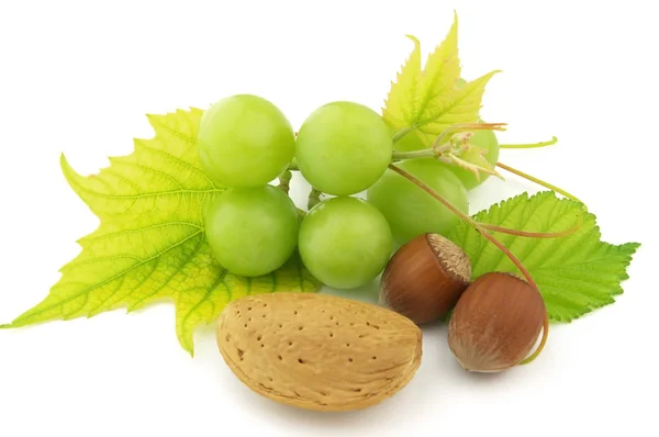 Dried nuts with grapes — Stock Photo, Image