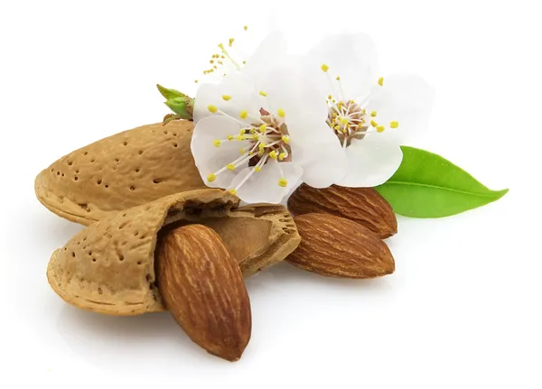 Almonds with flowers — Stock Photo, Image