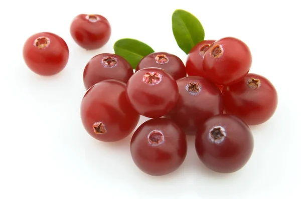 Fresh cranberry — Stock Photo, Image