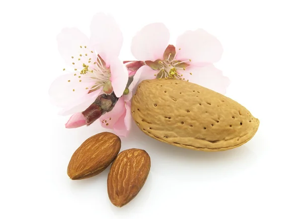 Dried almonds with flowers — Stock Photo, Image