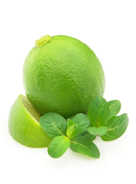 Lime met munt — Stockfoto