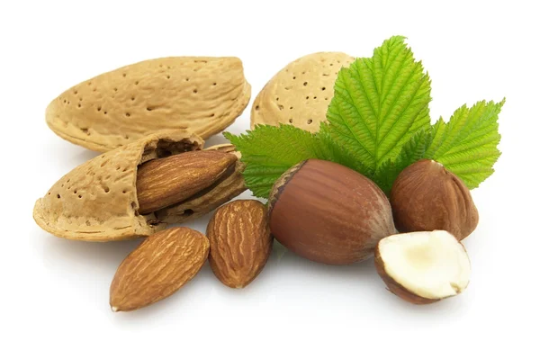 Almonds with filbert — Stock Photo, Image