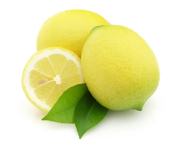 Limón maduro — Foto de Stock