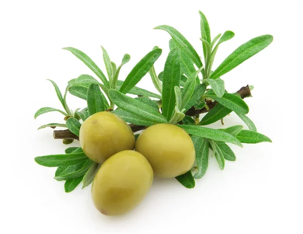 成熟橄榄 — 图库照片