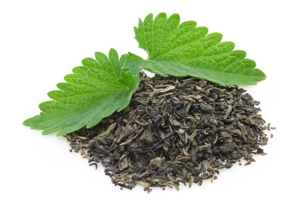Зелений чай з мелісою — стокове фото