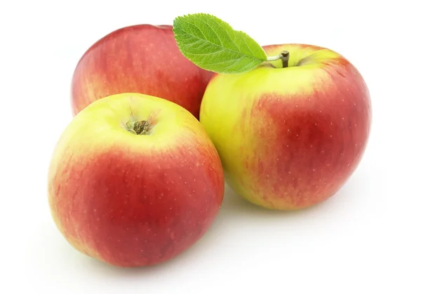 Солодкий яблучний — стокове фото