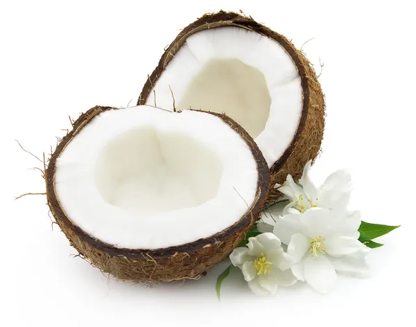 Coconut with jasmine — Stock Photo, Image