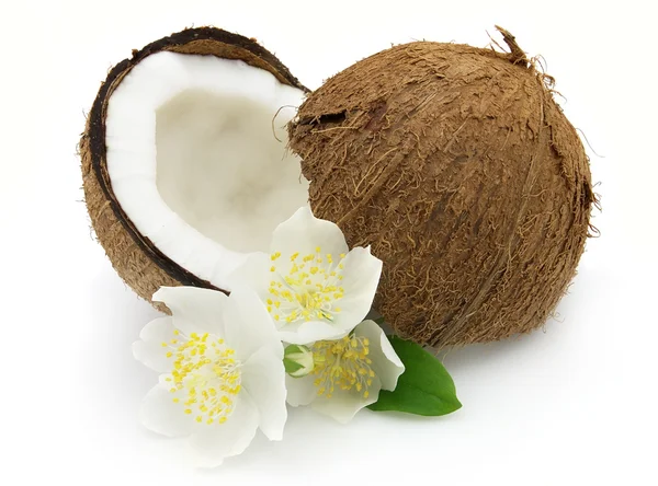 Cocos con jazmín —  Fotos de Stock