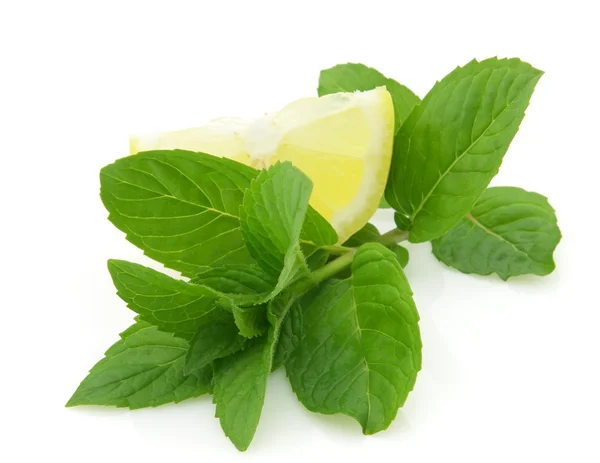 Mint with lemon — Stock Photo, Image