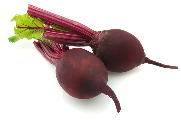 Fresh beet — Stock Photo, Image