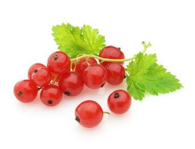 Ripe currant clipart