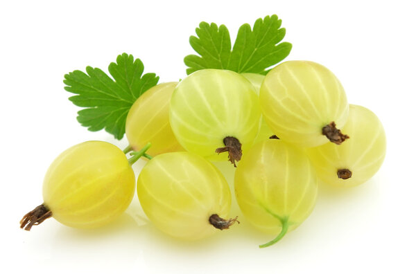 Ripe gooseberry