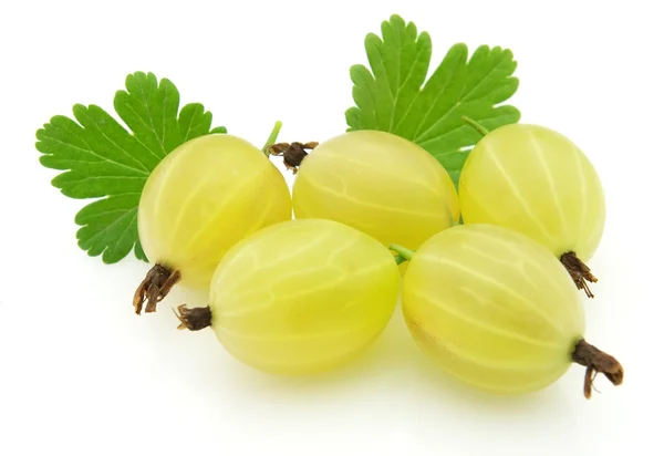 Uva spina dolce — Foto Stock